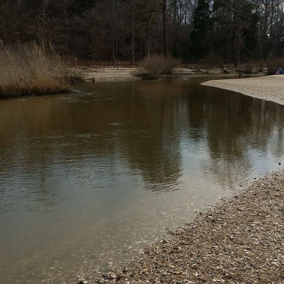 Meet your Posher, Shane - Picture 1 of 1